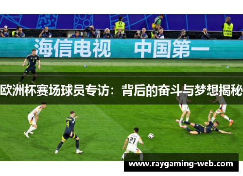 欧洲杯赛场球员专访：背后的奋斗与梦想揭秘