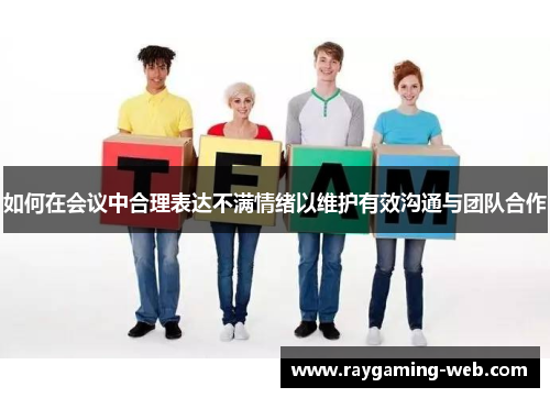 如何在会议中合理表达不满情绪以维护有效沟通与团队合作