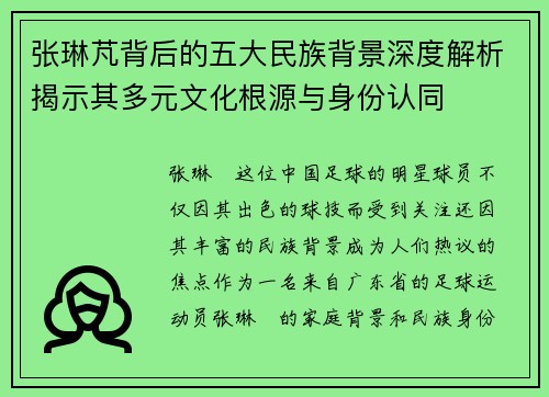 张琳芃背后的五大民族背景深度解析揭示其多元文化根源与身份认同