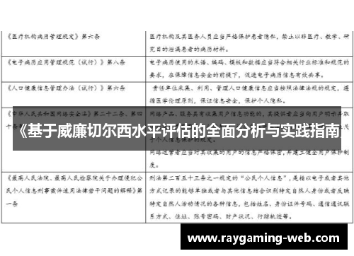 《基于威廉切尔西水平评估的全面分析与实践指南》